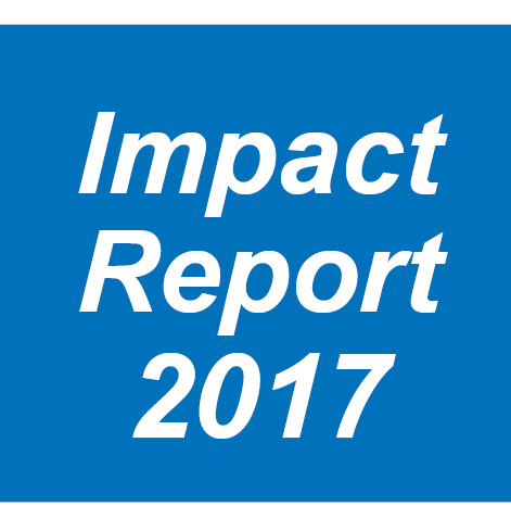 Impact Report icon_2017